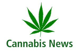 Cannabis News